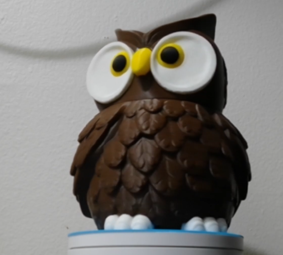 Owl Snack Jar 1